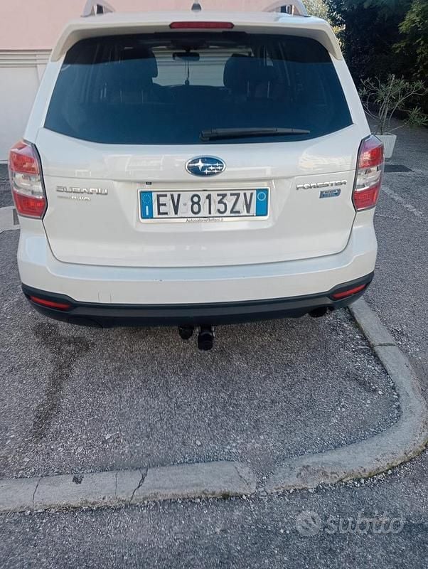 Usata Subaru Forester 2014 Bianco SUV