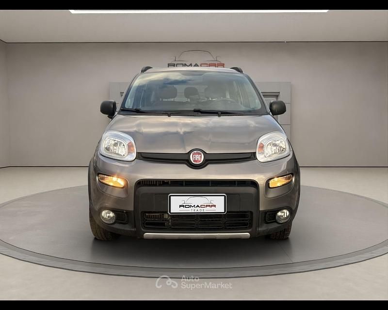 Usata Fiat Panda 4x4 S 86 CV (63 kW) 2020 Grigio Utilitaria