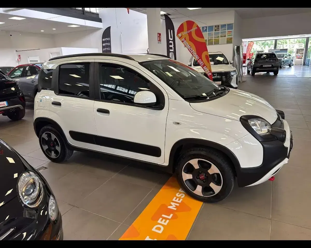 Usata Fiat Panda Cross Cross 69 CV (50 kW) 2024 Bianco Utilitaria