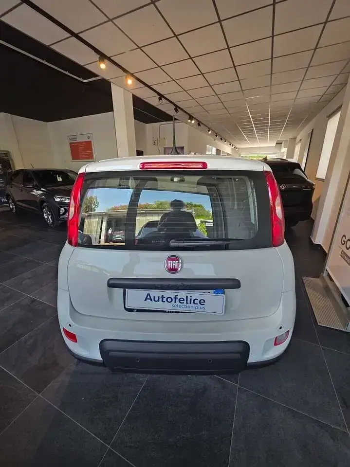 Usata Fiat Panda S 69 CV (50 kW) 2025 Bianco Utilitaria