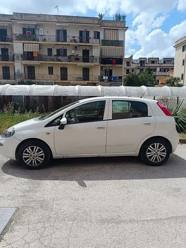 Usata Fiat Punto Lounge 77 CV (56 kW) 2016 Bianco Utilitaria