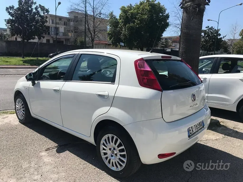 Usata Fiat Punto Lounge 77 CV (56 kW) 2014 Bianco Utilitaria