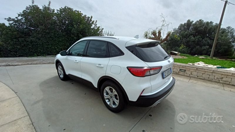 Usata Ford Kuga 120 CV (88 kW) 2021 Bianco SUV