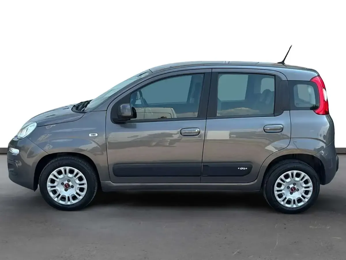 Usata Fiat Panda Easy 69 CV (50 kW) 2021 Grigio Utilitaria