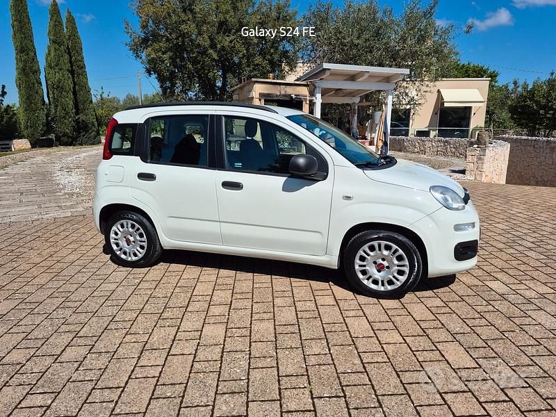 Usata Fiat Panda Easy 69 CV (50 kW) 2019 Bianco Utilitaria