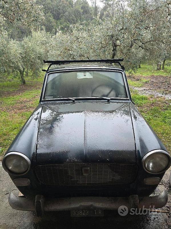 Usata Fiat 1100D 1960 Blu Berlina