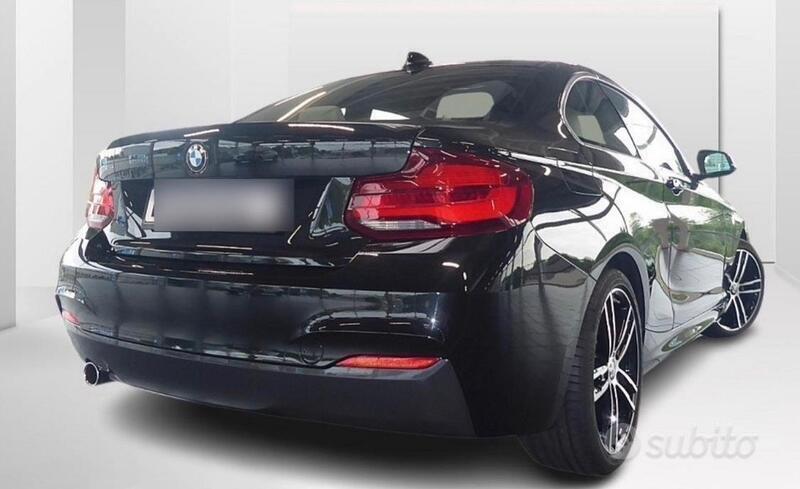 Usato 2020 BMW 218 2.0 Benzin 136 CV (29.000 €)
