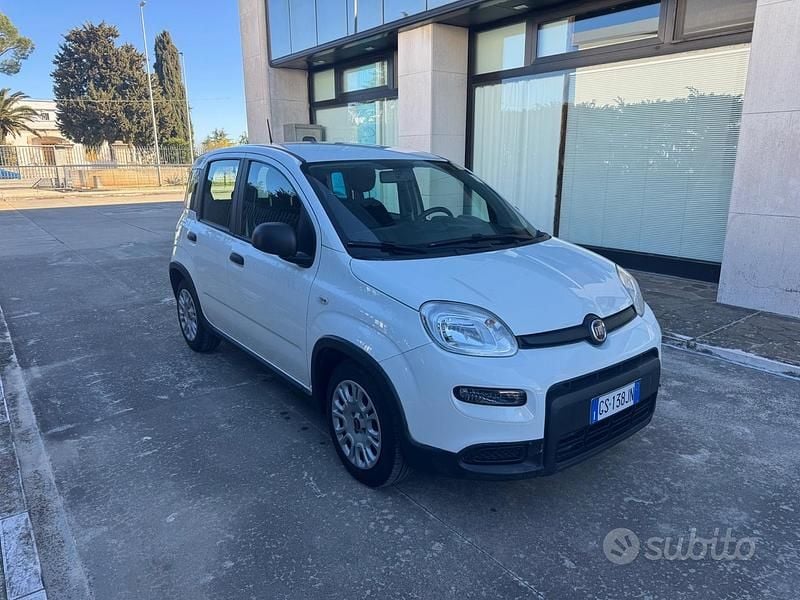 Usata Fiat Panda S 70 CV (51 kW) 2024 Bianco Utilitaria