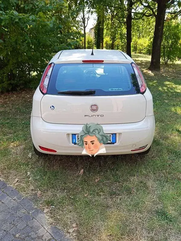 Usata Fiat Grande Punto S 69 CV (50 kW) 2012 Utilitaria