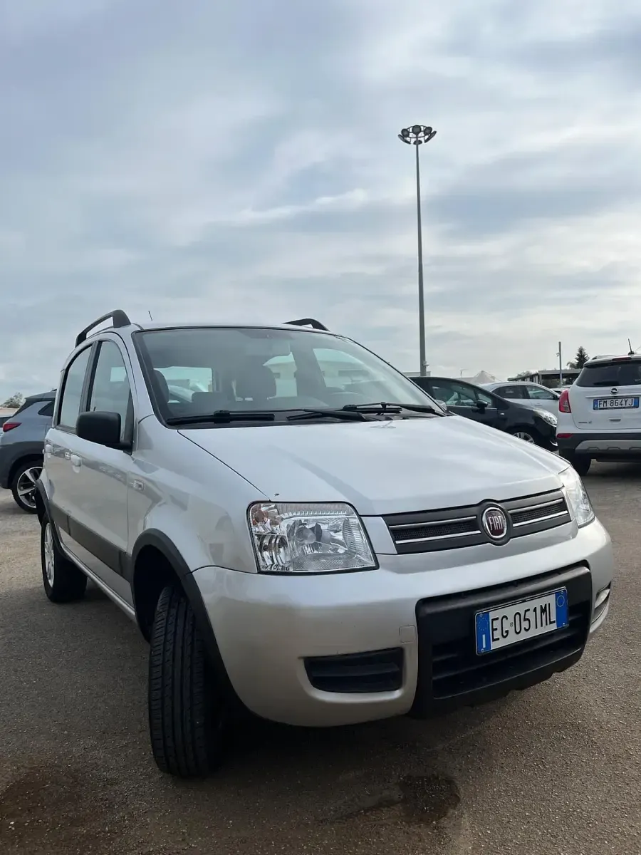 Usata Fiat Panda 4x4 Climbing 69 CV (50 kW) 2008 Utilitaria