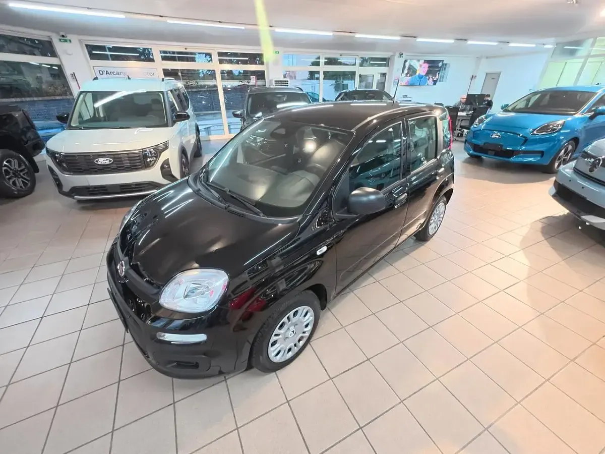 Usata Fiat Panda S 70 CV (51 kW) 2024 Bianco Utilitaria