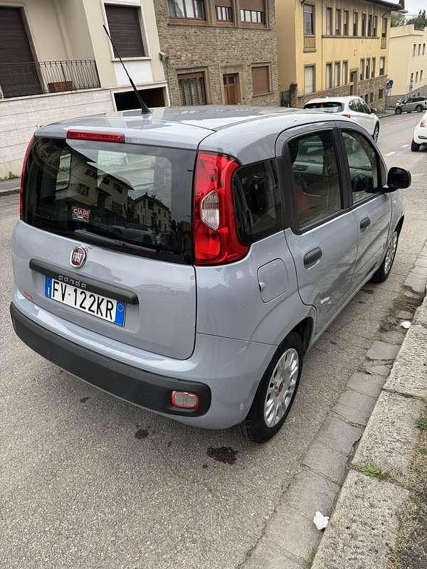 Usata Fiat Panda Pop 69 CV (50 kW) 2019 Grigio Utilitaria