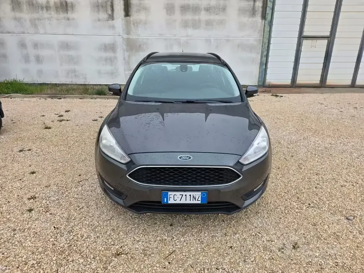 Usata Ford Focus 120 CV (88 kW) 2016 Marrone Station wagon