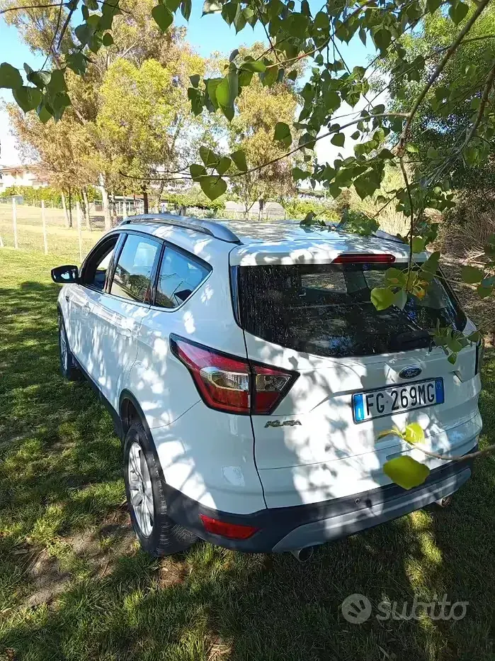 Usata Ford Kuga 120 CV (88 kW) 2016 Bianco SUV