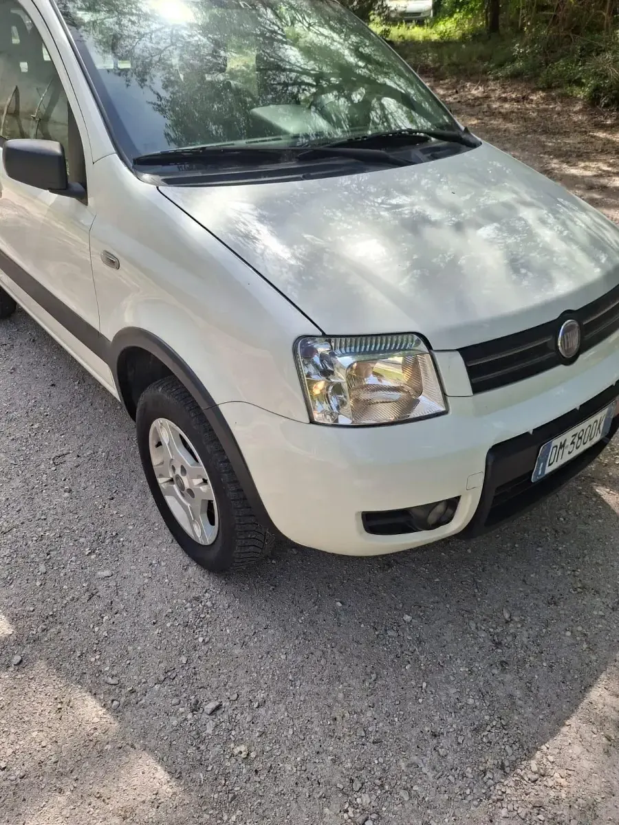 Usata Fiat Panda 4x4 69 CV (50 kW) 2008 Bianco Utilitaria