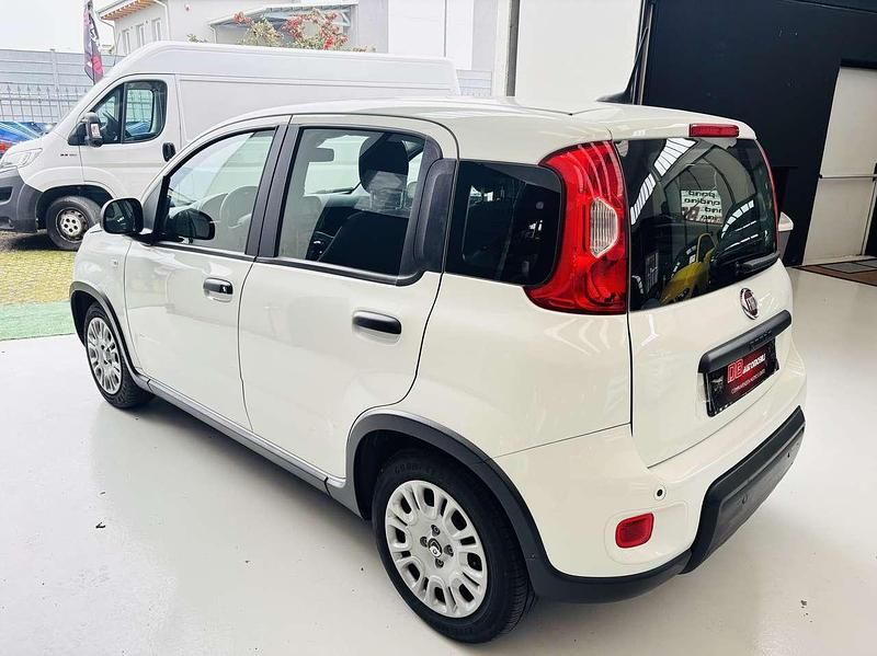 Usata Fiat Panda S 69 CV (50 kW) 2024 Bianco Utilitaria