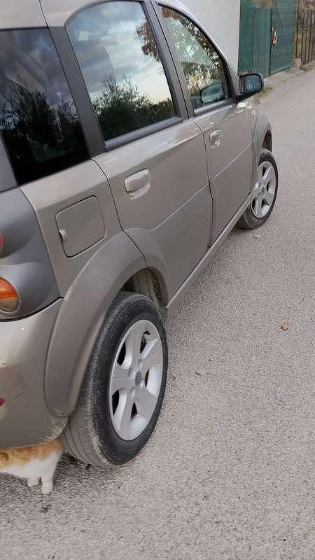 Usata Fiat Panda 4x4 Cross 69 CV (50 kW) 2006 Utilitaria