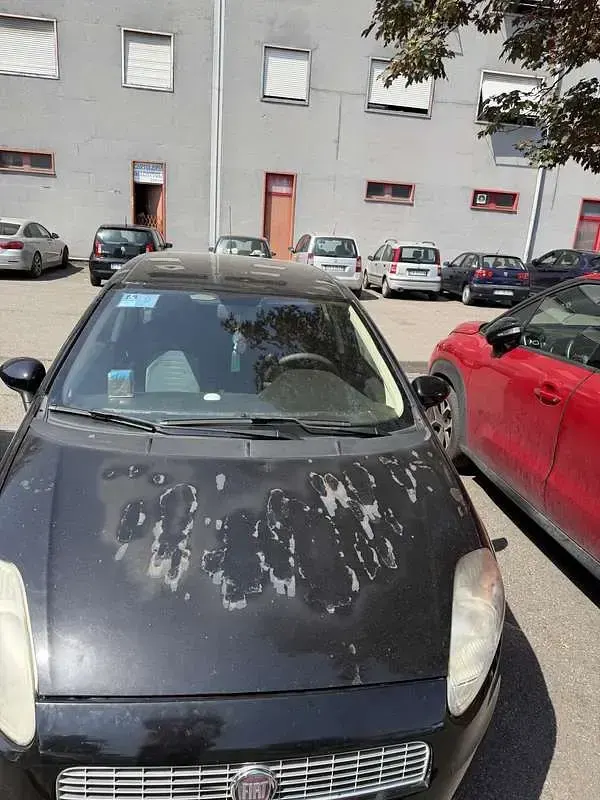 Usata Fiat Grande Punto Dynamic 77 CV (56 kW) 2009 Utilitaria