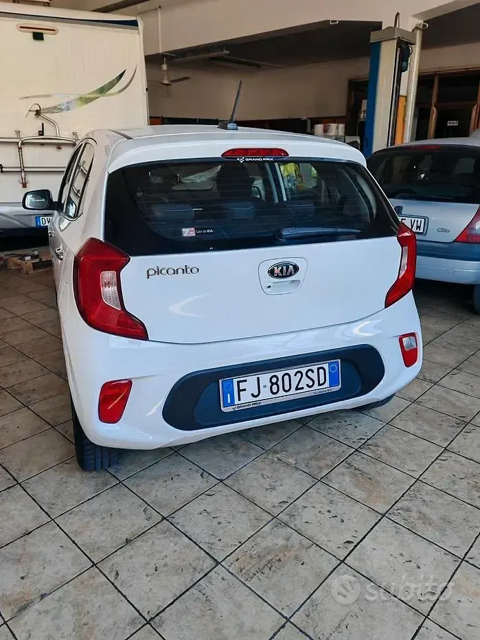 Usata Kia Picanto 67 CV (49 kW) 2017 Bianco Utilitaria