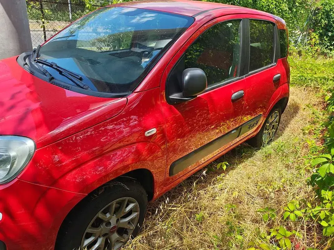 Usata Fiat Panda 4x4 S 80 CV (58 kW) 2017 Rosso Utilitaria