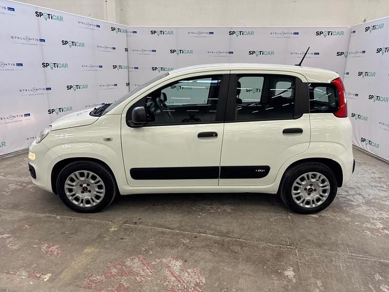 Usata Fiat Panda Easy 70 CV (51 kW) 2020 Bianco Utilitaria