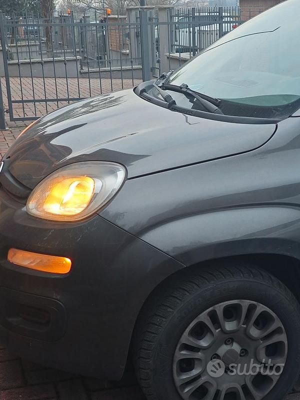 Usata Fiat Panda 2019 Grigio Utilitaria