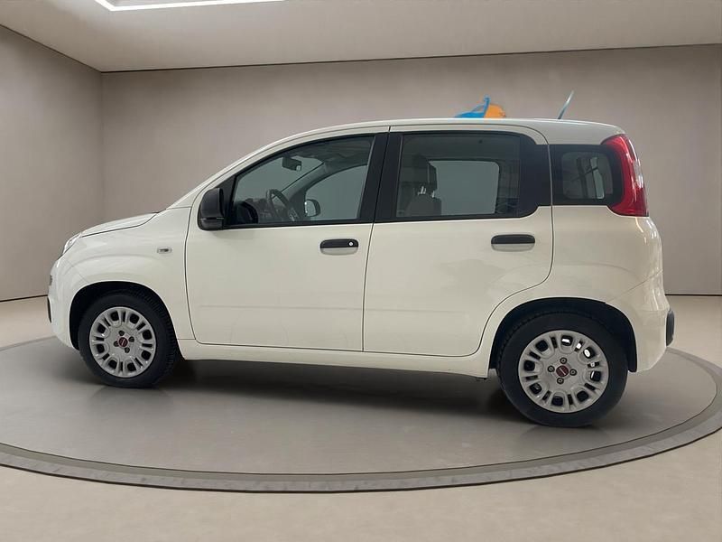 Usata Fiat Panda 69 CV (50 kW) 2021 Bianco Utilitaria