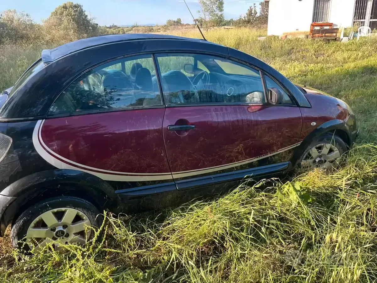 Usata Citroën C3 73 CV (53 kW) 2009 Cabrio