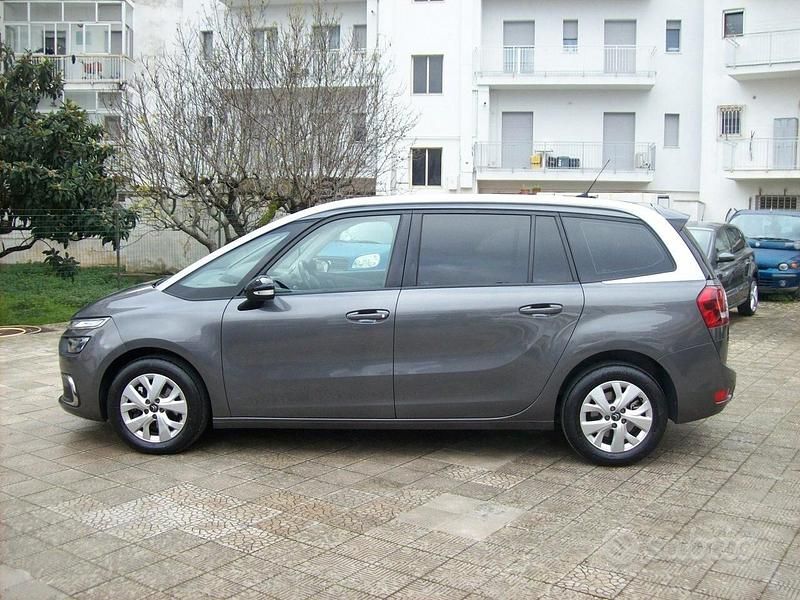 Usata Citroën C4 SpaceTourer Shine 131 CV (96 kW) 2022 Grigio Monovolume