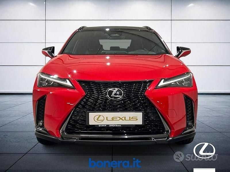 Usata Lexus UX 300h Sport Line 2024 Rosso SUV