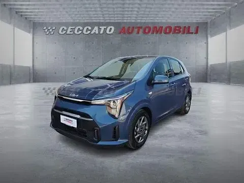 Usata Kia Picanto Urban 63 CV (46 kW) 2025 Utilitaria