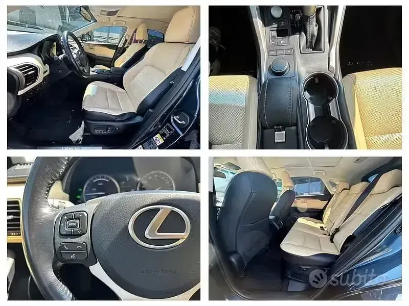 Usata Lexus NX300h Sport Line 155 CV (114 kW) 2015 Verde SUV