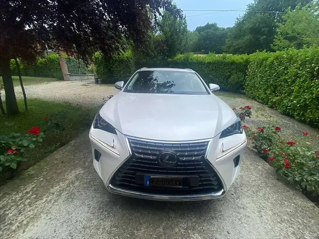 Usata Lexus NX300h Business Edition 155 CV (114 kW) 2020 Bianco SUV