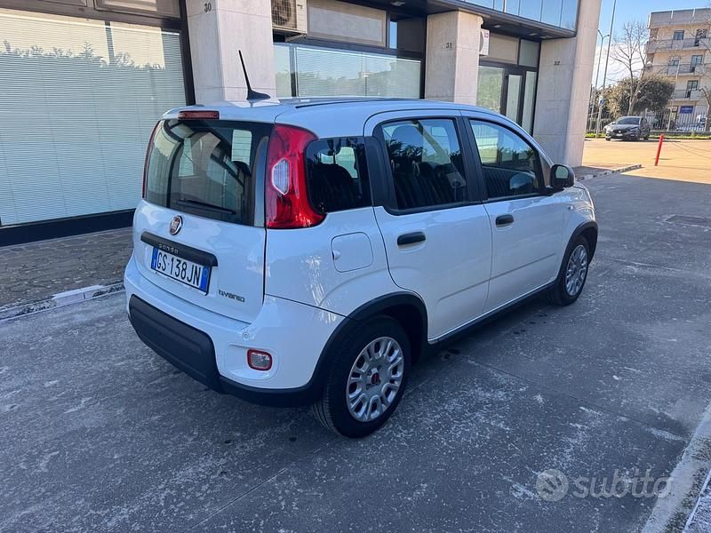 Usata Fiat Panda S 70 CV (51 kW) 2024 Bianco Utilitaria