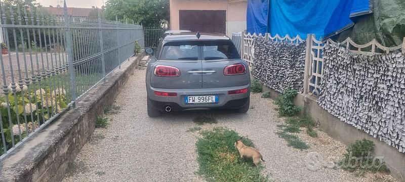 Usata Mini Clubman 2018 Grigio Station wagon