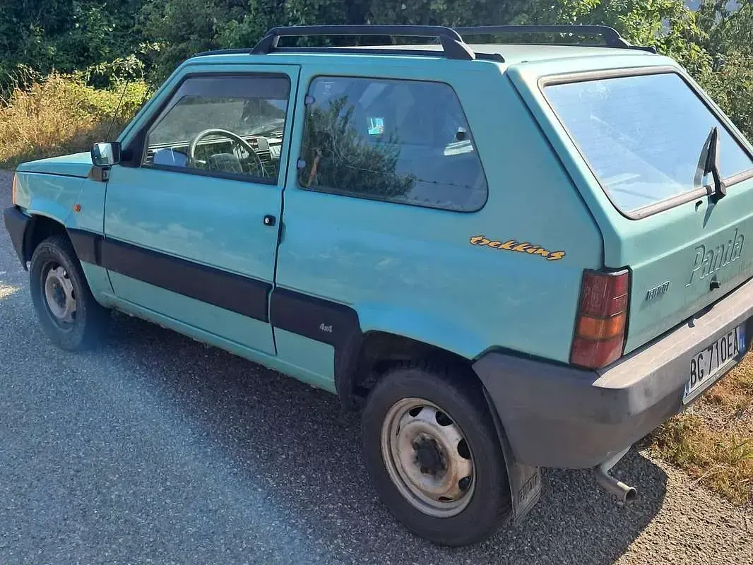 Usata Fiat Panda 4x4 Trekking 54 CV (39 kW) 1999 Verde Utilitaria