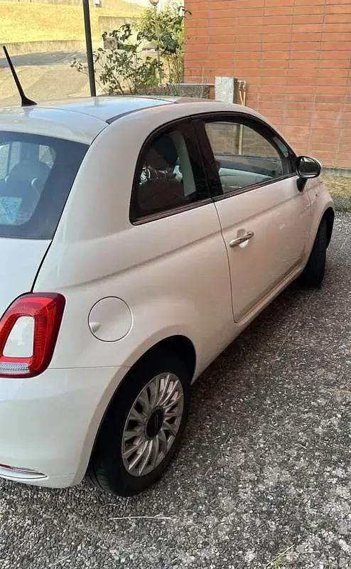 Usata Fiat 500 69 CV (50 kW) 2019 Utilitaria