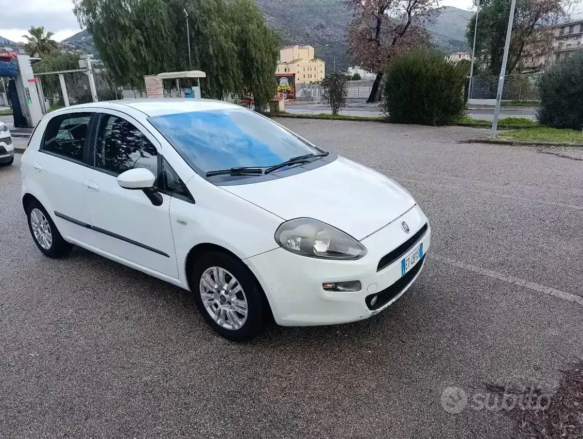 Usata Fiat Punto 75 CV (55 kW) 2014 Bianco Utilitaria