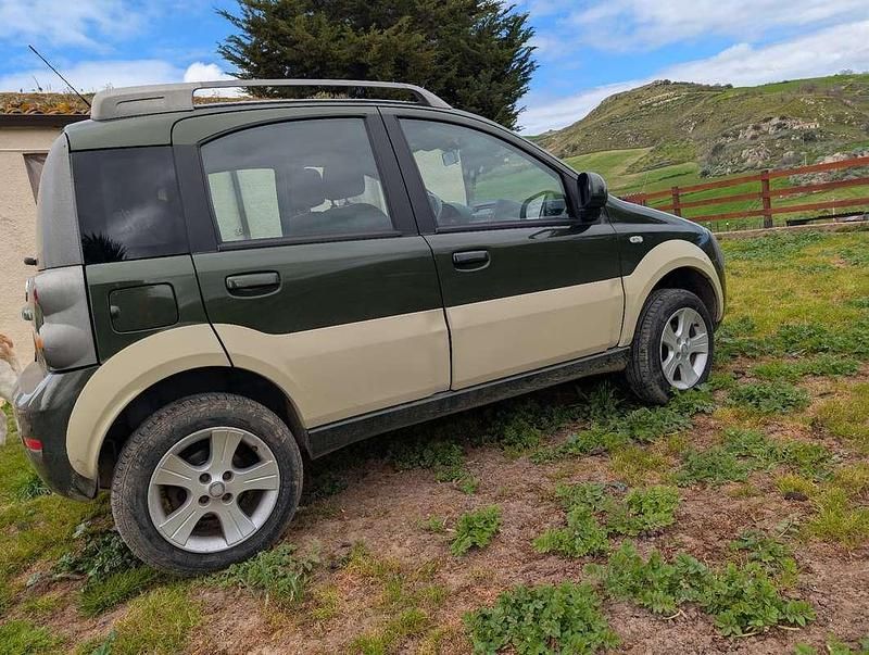 Usata Fiat Panda 4x4 Cross 69 CV (50 kW) 2010 Utilitaria