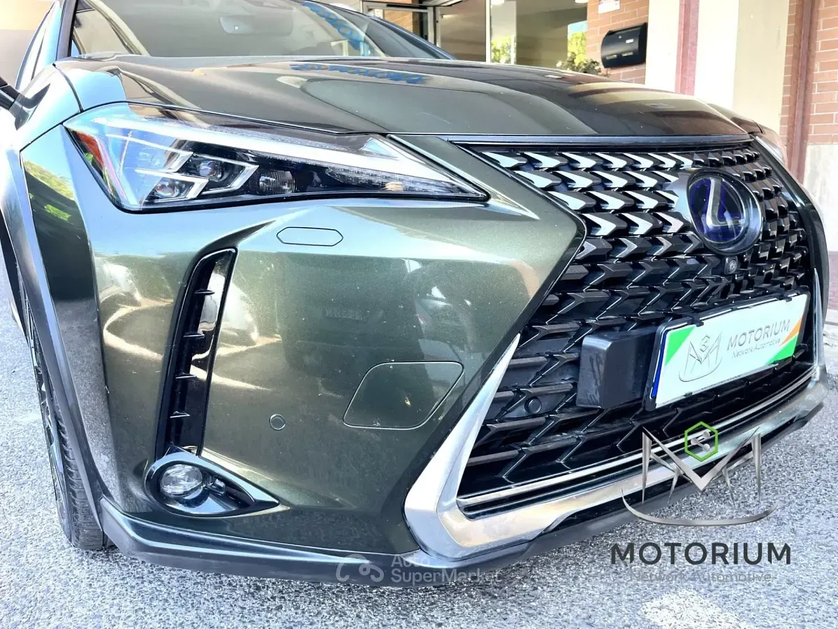 Usata Lexus UX 250h Executive Line 145 CV (106 kW) 2020 Verde SUV