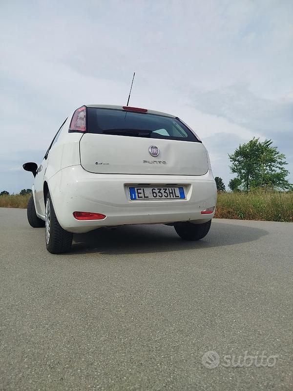 Usata Fiat Punto 65 CV (47 kW) 2012 Bianco Utilitaria