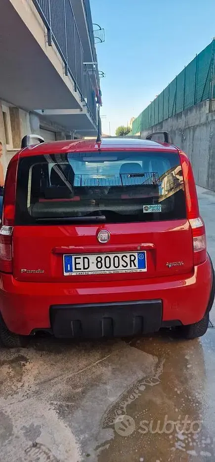 Usata Fiat Panda 60 CV (44 kW) 2010 Rosso Utilitaria