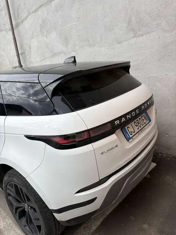 Usata Land Rover Range Rover evoque SE 163 CV (119 kW) 2022 Bianco SUV