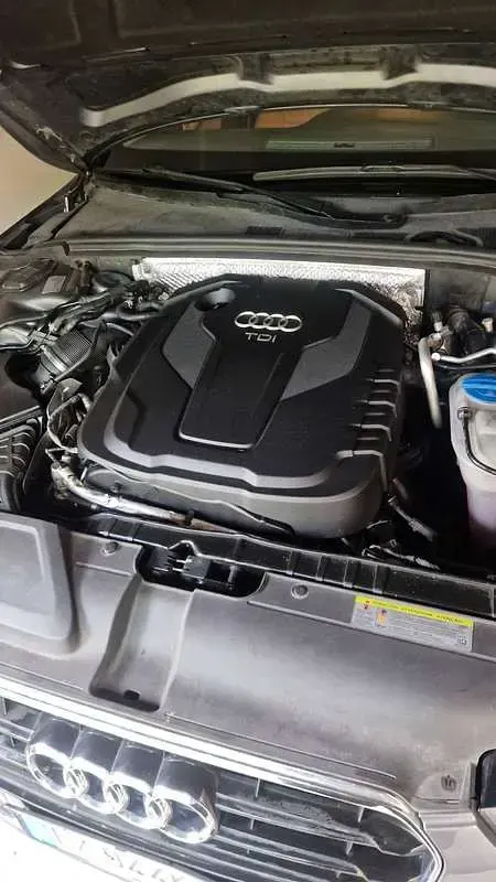 Usata Audi A5 Sportback Ambiente 190 CV (139 kW) 2015 Argento Utilitaria