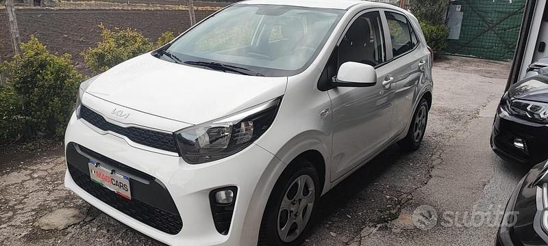 Usata Kia Picanto 67 CV (49 kW) 2021 Bianco Utilitaria