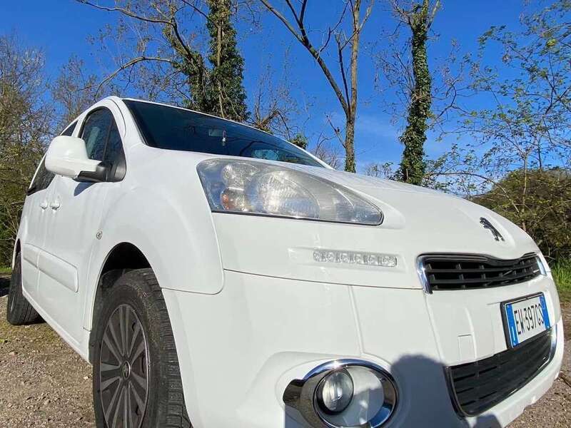 Usato 2014 Peugeot Partner Tepee 1.6 Diesel 92 CV (11.000 €)