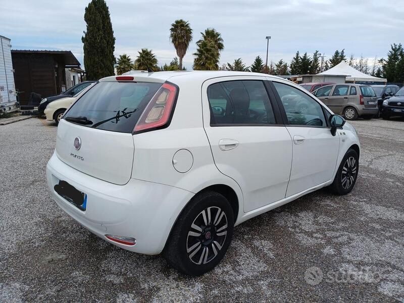 Usata Fiat Punto Lounge 75 CV (55 kW) 2014 Bianco Utilitaria