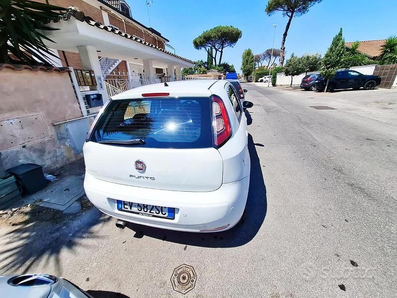 Usata Fiat Punto 90 CV (66 kW) 2014 Bianco Berlina