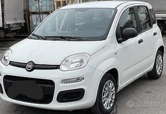 Bianco Usata 2020 Fiat Panda Due volumi | 11.200 € (Cara) - Immagine 1/4