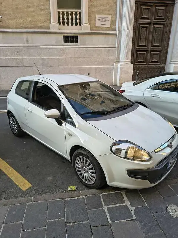 Usata Fiat Punto Evo Active 75 CV (55 kW) 2010 Bianco Utilitaria